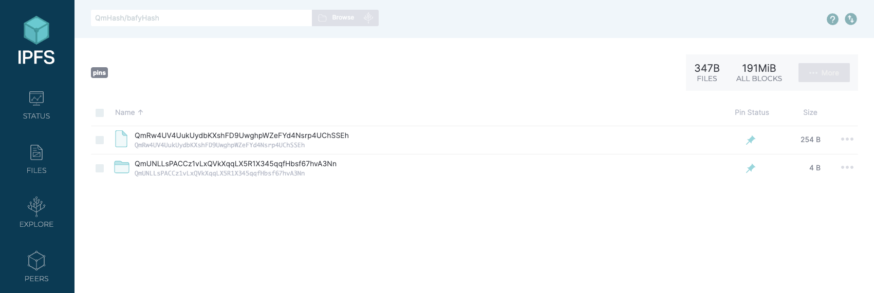 Pins IPFS 1